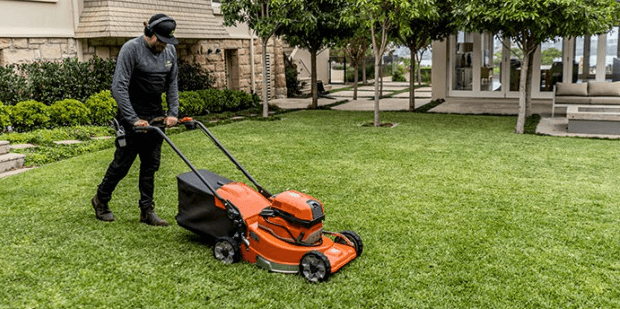 ensuring your lawn
