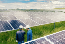 Renewable Energy for Businesses: Switch to Solar Power