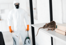A Safe and Sustainable Approach by The Exterminator Pest Control Chelmsford