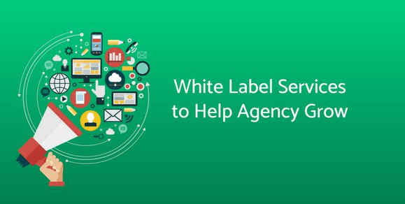 White Label SEO - A Game-Changer for Growing Your Digital Marketing Agency