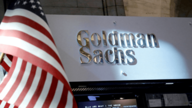 Goldman Sachs Savingstara Lacapra Theinformation