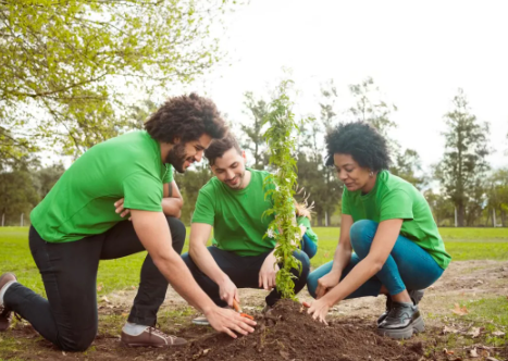 Cultivating a Living Tribute: Tips and Advice for Planting a Tree in Memory of Someone