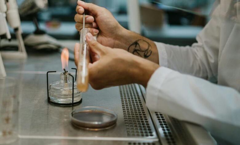 toll free number investigation