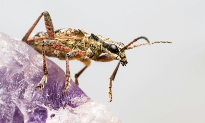 unusual name or term