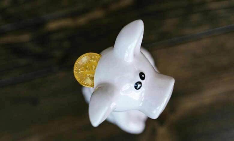 unique blockchain address identifier