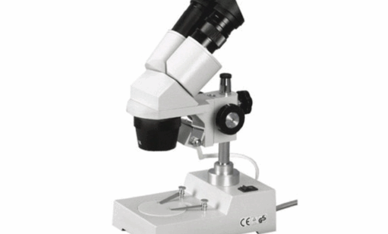 How do you choose the right stereo microscope for beginners?