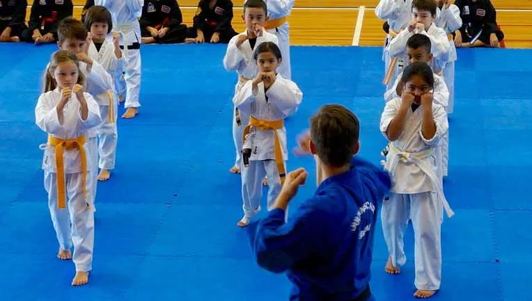 Martial Arts Classes – A Complete Guide to Training, Styles, and Benefits