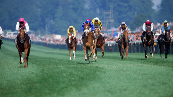 RACE TAX ‘RUIN’: John Gosden Warns New Betting Levy Could Devastate British Horse Racing