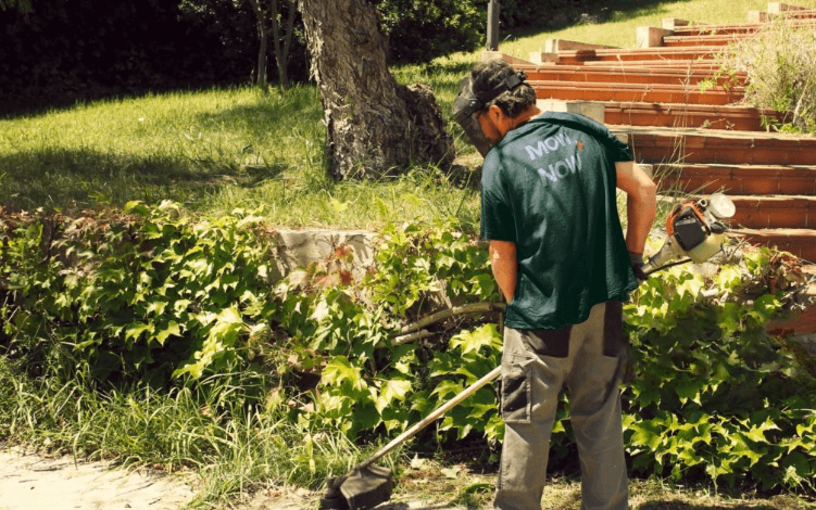 Professional Lawn Mowing and Gardening Services Perth