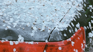 Cars Hit by Hailstorms