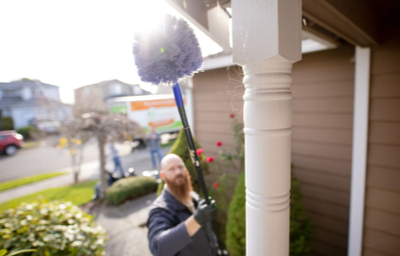 How Often Should You Schedule Pest Control for Your Home?