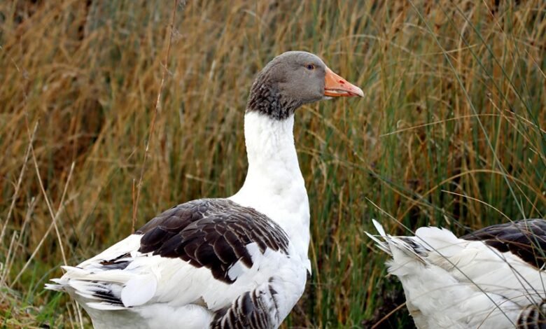 profile updates for vittenthill49