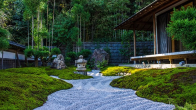 Styling Tips That Draw From Local Landscapes