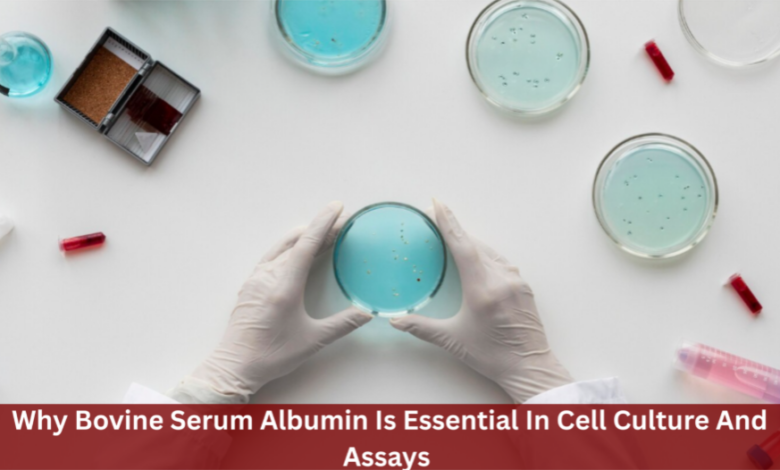 Cell culture and assay procedures