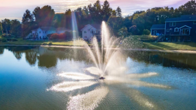 6 Things Nobody Tells You About Floating Pond Fountains