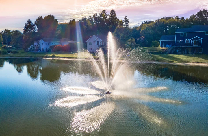 6 Things Nobody Tells You About Floating Pond Fountains