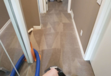 The Hidden Buildup Beneath Carpets That Regular Vacuuming Never Removes