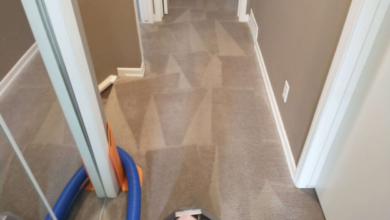 The Hidden Buildup Beneath Carpets That Regular Vacuuming Never Removes