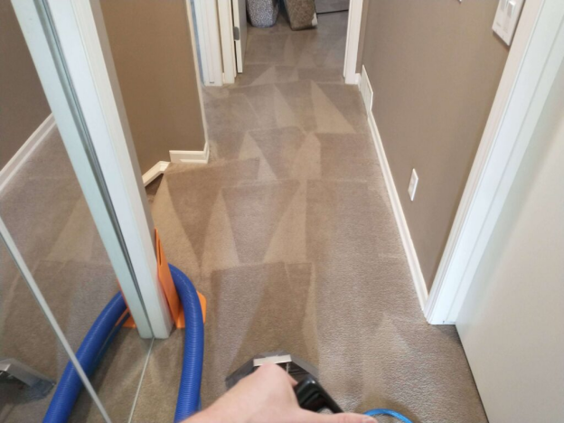 The Hidden Buildup Beneath Carpets That Regular Vacuuming Never Removes