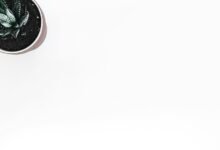 verify login credentials securely