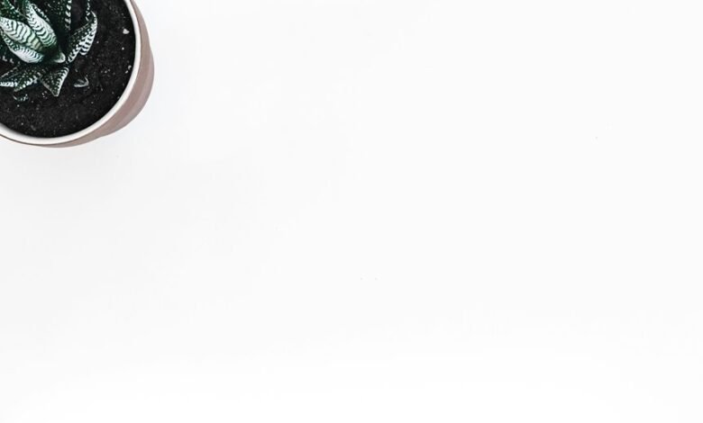 verify login credentials securely