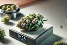 Premium Lab-Tested THCA Flower for Sale Online — Shop Now