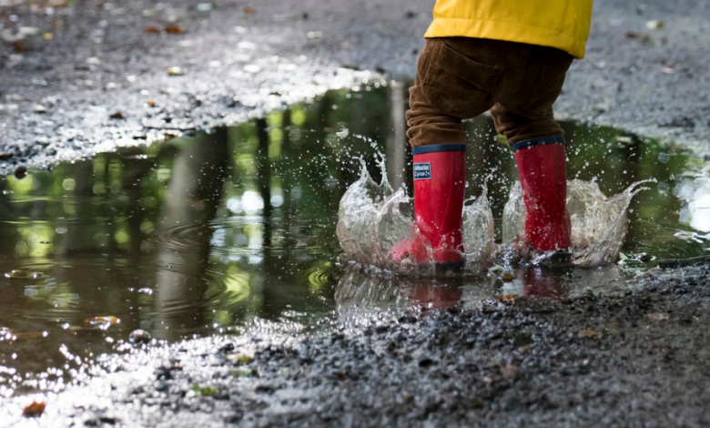 4 Practical Tips to Manage Rainwater Around Your Home