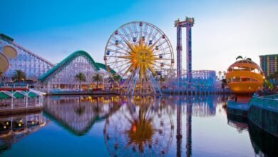 Family Travel Guide: Best New York Experience Tickets for All Ages
