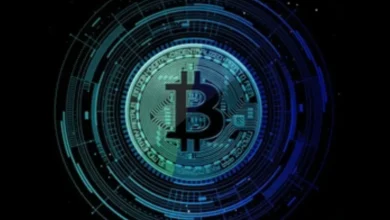 1bpawv8f1gnxap6vzbhjgjlfa8vsfpl4tf