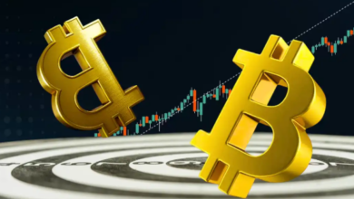 bc1qm34lsc65zpw79lxes69zkqmk6ee3ewf0j77s3h