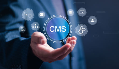 How Headless CMS Supports Modern, Cross-Functional Business Teams