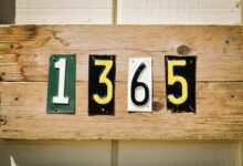 mixed data ips and phone numbers