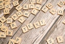 review data records for verification