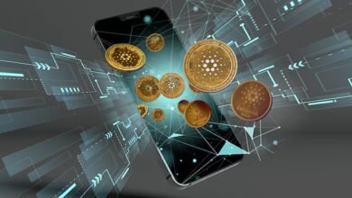 0xcf8335727b776d190f9d15a54e6b9b9348439eeee