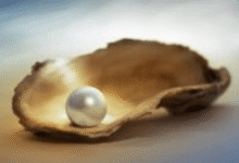 Pearl Stone Guide: Understanding Moti Stone Various Characteristics