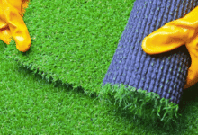Selecting the Best Turf for Your Climate