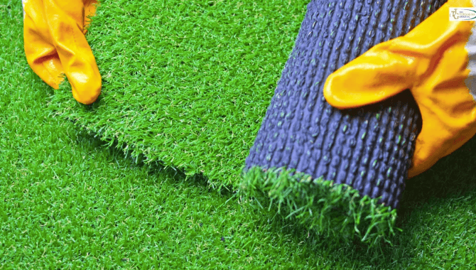 Selecting the Best Turf for Your Climate