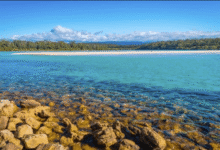 Exploring Shoalhaven as a Tourism Destination