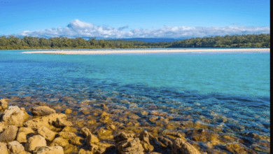 Exploring Shoalhaven as a Tourism Destination