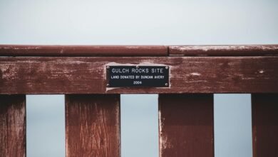 behavioral pattern recognition report