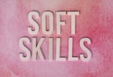 dimrekemesgen skills description