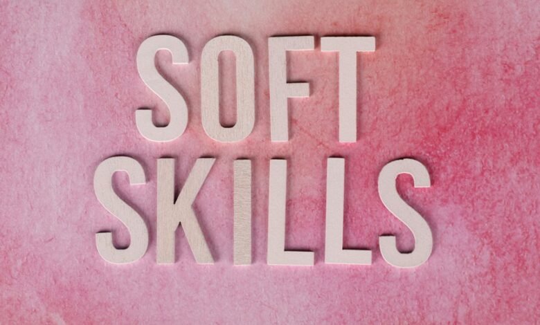 dimrekemesgen skills description