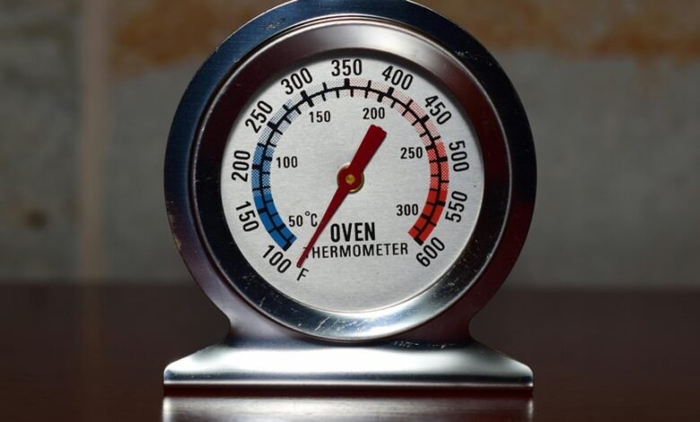 oven temperature specification details