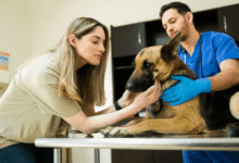 The Future of Pet Wellness: What's New at Petbook Veterinary Clinic