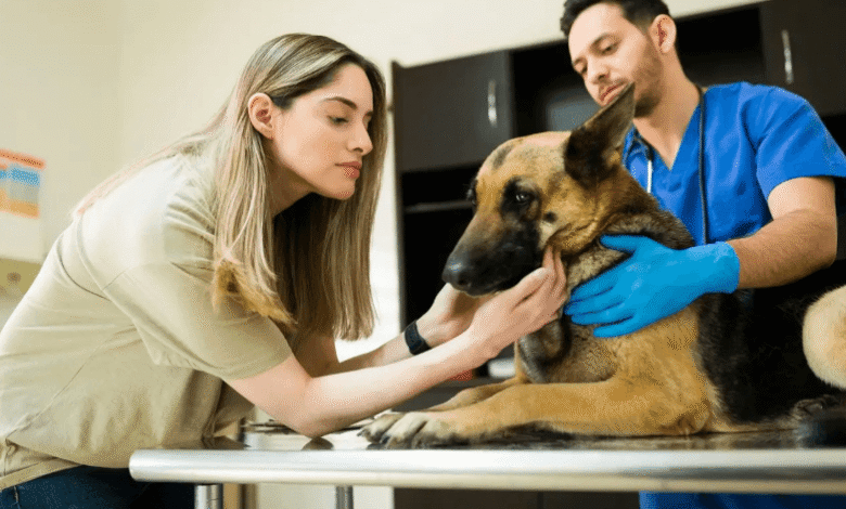 The Future of Pet Wellness: What's New at Petbook Veterinary Clinic