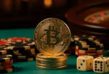 Top 3 Crypto Casino Software Providers Globally 