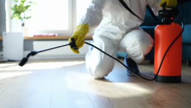What to Expect From a Professional Pest Inspection in Singapore