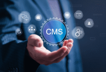 The Role of Headless CMS in Managing Digital Merchandise Content