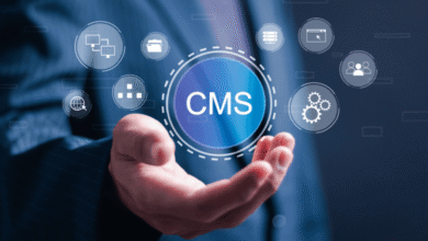 The Role of Headless CMS in Managing Digital Merchandise Content