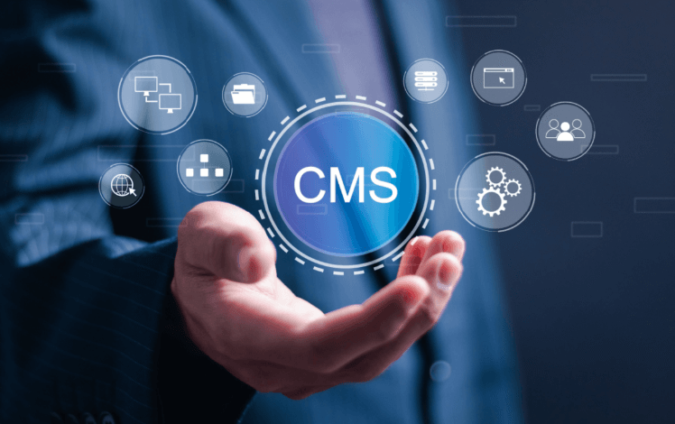 The Role of Headless CMS in Managing Digital Merchandise Content